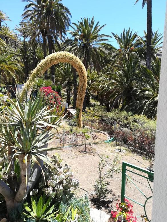 Casa Majores バジェエルモソ エクステリア 写真